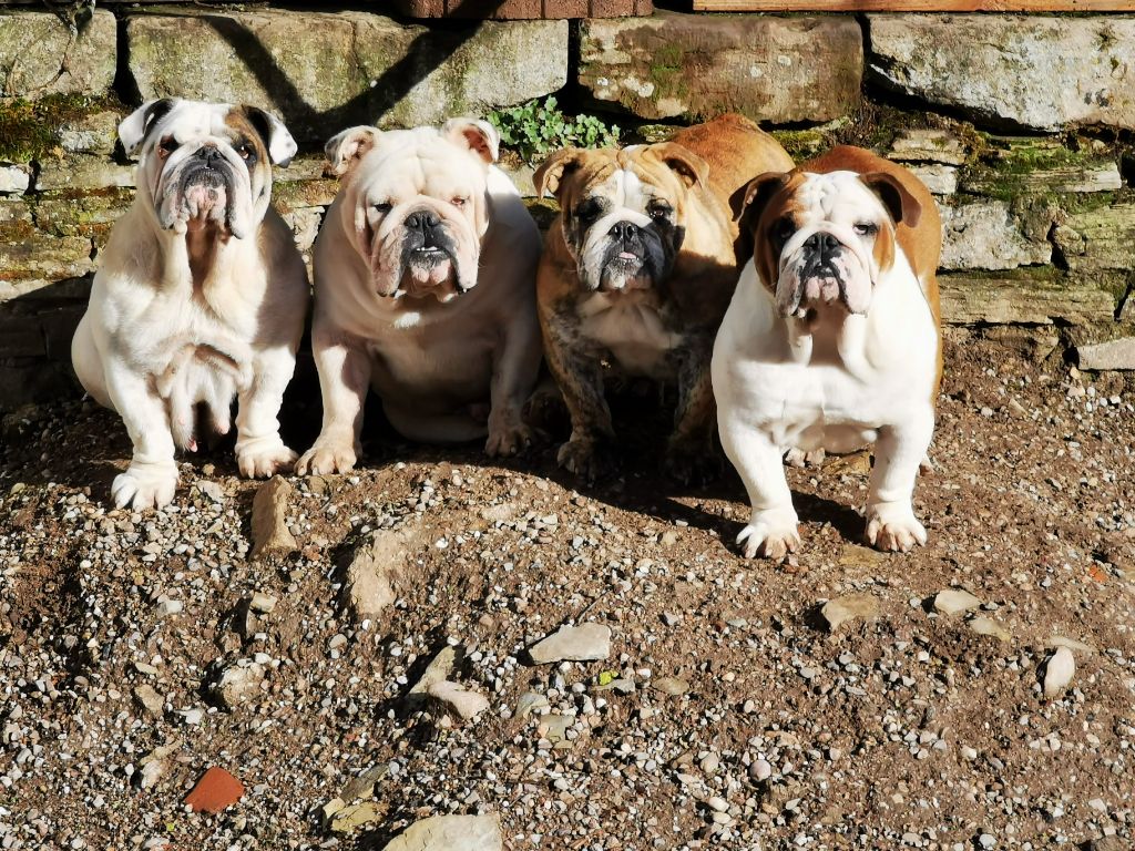 Ulyssia Des Bullys D'Audani Villa
